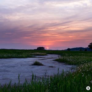 At the lake in the quiet and still afternoon - BGM Teacher