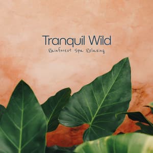 Tranquil Wild - Rainforest Spa Relaxing