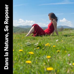 Dans La Nature, se Reposer - Musique Coeur de la Nature