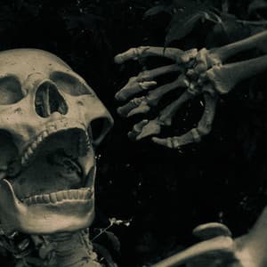 0 Hour Zombie: Dread Of The Undead - Halloween Music