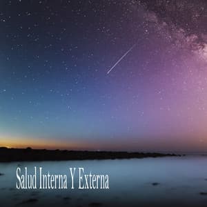 Salud Interna Y Externa - Meditation Music