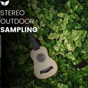 360 Outdoor Audio Capturing the Earths Pulse - rainstantly