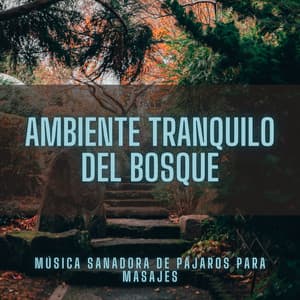 Ambiente Tranquilo Del Bosque: Música Sanadora De Pájaros Para Masajes - Ritmos Binaurales MT