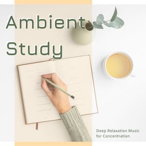 Ambient Study: Deep Relaxation Music for Concentration - Zen Mindwaves