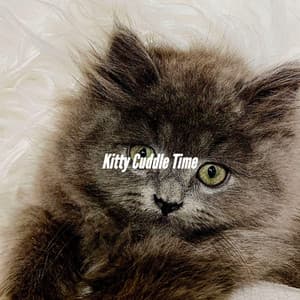 Kitty Cuddle Time - Romantic Dinner Table Music