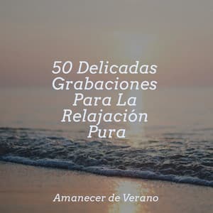 50 Delicadas Grabaciones Para La Relajación Pura - Sonido Del Bosque y Naturaleza