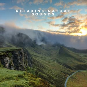 Relaxing Nature Sounds - Nature Sounds for Sleep and Relaxation