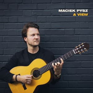A View - Maciek Pysz