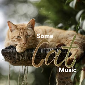 Some Cat Music - Some Cat Music