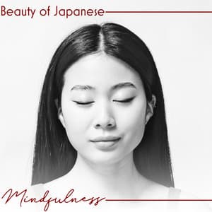 Beauty of Japanese Mindfulness: Wellbeing for Body & Mind, Nature Sounds, Meditation Practice, Shin-Shin Ichinyo - Japanese Sweet Dreams Zone