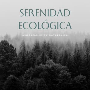 Serenidad Ecológica: Armonías De La Naturaleza - Música Instrumental Maestro