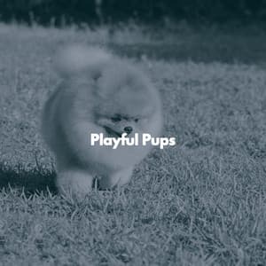 Playful Pups - Doggy Relaxing Sounds