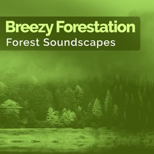 Breezy Forestation - Forest Soundscapes