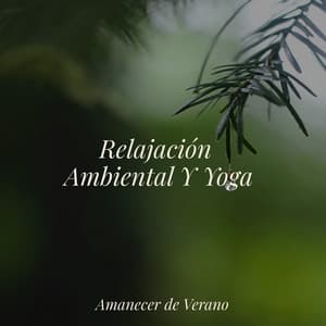 Relajación Ambiental Y Yoga - Guided Meditation