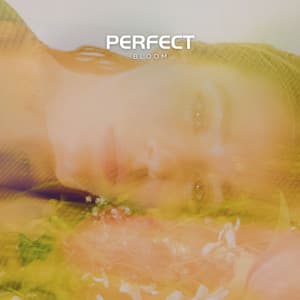 Perfect Bloom - Modern Detox Chill