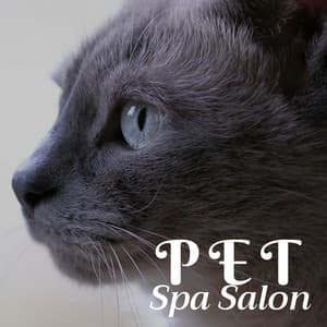 Pet Spa Salon - Relaxing Background Songs for Cat Grooming Session & Massage - Cat Whisper
