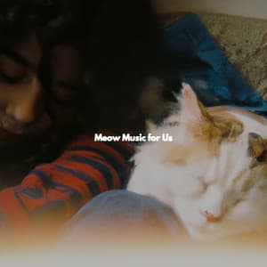 Meow Music for Us - Jazz Chill Out Lounge
