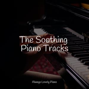 50 Comforting Sounds for Work and Focused Study Sessions - Relaxing Piano Jazz Music Ensemble