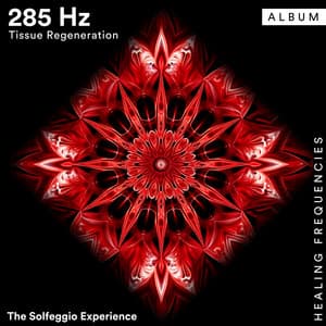 285 Hz Tissue Regeneration - The Solfeggio Experience