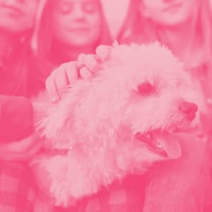 Music for Puppy Day Dreaming - Jazz Music for Dogs