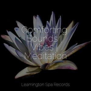 Comforting Sounds | Vibes | Meditation - It's Raining