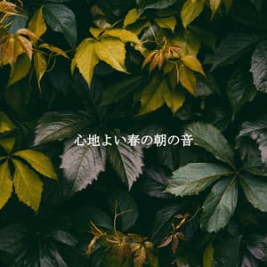 心地よい春の朝の音 - Light Cafe Lounge