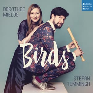 Birds - Stefan Temmingh