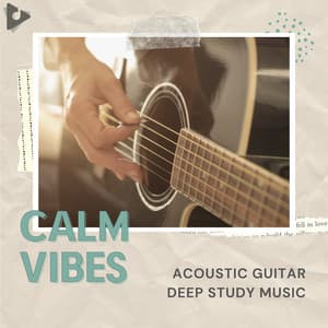 Acoustic Guitar Deep Study Music - Calm Vibes