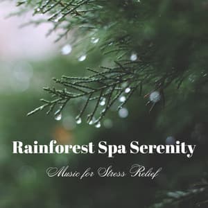 Rainforest Spa Serenity: Music for Stress Relief - Rainforest Ambience