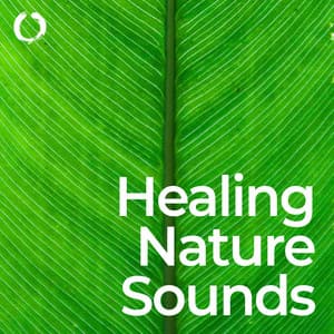 Healing Nature Sounds: Meditation and Mindfulness - Healing Meditation Relaxing Music Channel