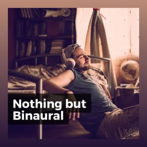 Nothing but Binaural - Binaural Systems