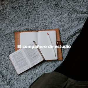 El compañero de estudio - Morning Calm Playlist