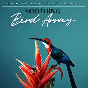 Soothing Bird Array - Calming Rainforest Sounds