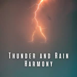 Thunder and Rain Harmony - Thunder etc.