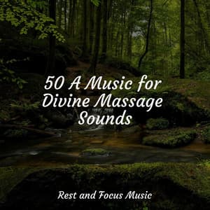 50 A Music for Divine Massage Sounds - Massagem