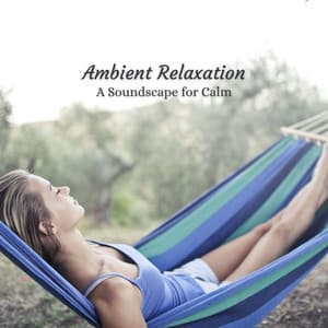 Ambient Relaxation: A Soundscape for Calm - Ronnie Relaxation