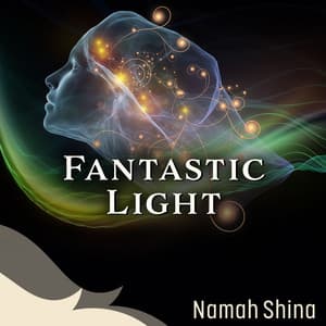 Fantastic Light - Namah Shina