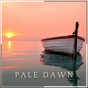Pale Dawn - Zen Minds