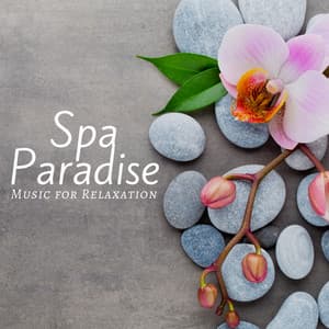 Spa Paradise: Music for Relaxation, Aromatherapy & Wellness, Massage Music, Natural Spa Sounds - James Inner