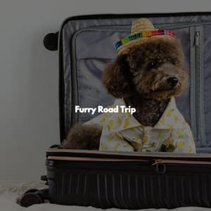 Furry Road Trip - Smooth Jazz Deluxe
