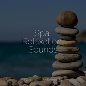 Spa Relaxation Sounds - Mindfulness Meditation Universe