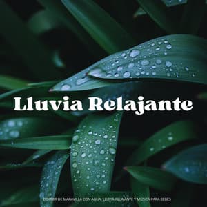 Dormir De Maravilla Con Agua: Lluvia Relajante Y Música Para Bebés - Temporada