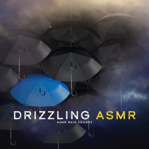Drizzling ASMR - ASMR Rain Sounds