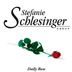 Daily Rose - Stefanie Schlesinger