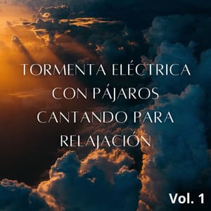 Tormenta Eléctrica Con Pájaros Cantando Para Relajación Vol. 1 - Tormentas eléctricas y sonidos de tormenta de lluvia