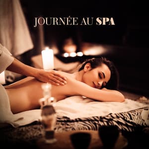 Journée au spa: Son de la nature et oasis paisible - Ensemble de Musique Zen Relaxante