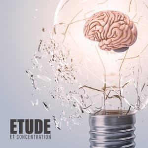 Etude et concentration - Nikitovich
