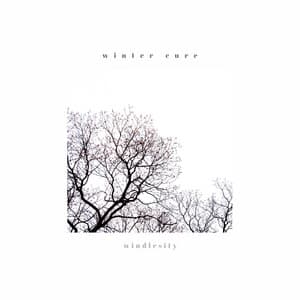 winter cure - windlesity