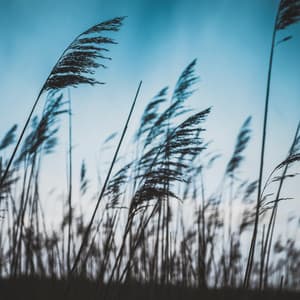 10 Hours White Noise: Soothing Hiss - White Noise for Babies