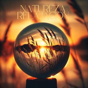 Natureza Relajacion - Maestros de música de la meditación